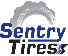 Sentry Logo Image